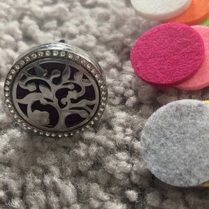 Diffuser for car vent